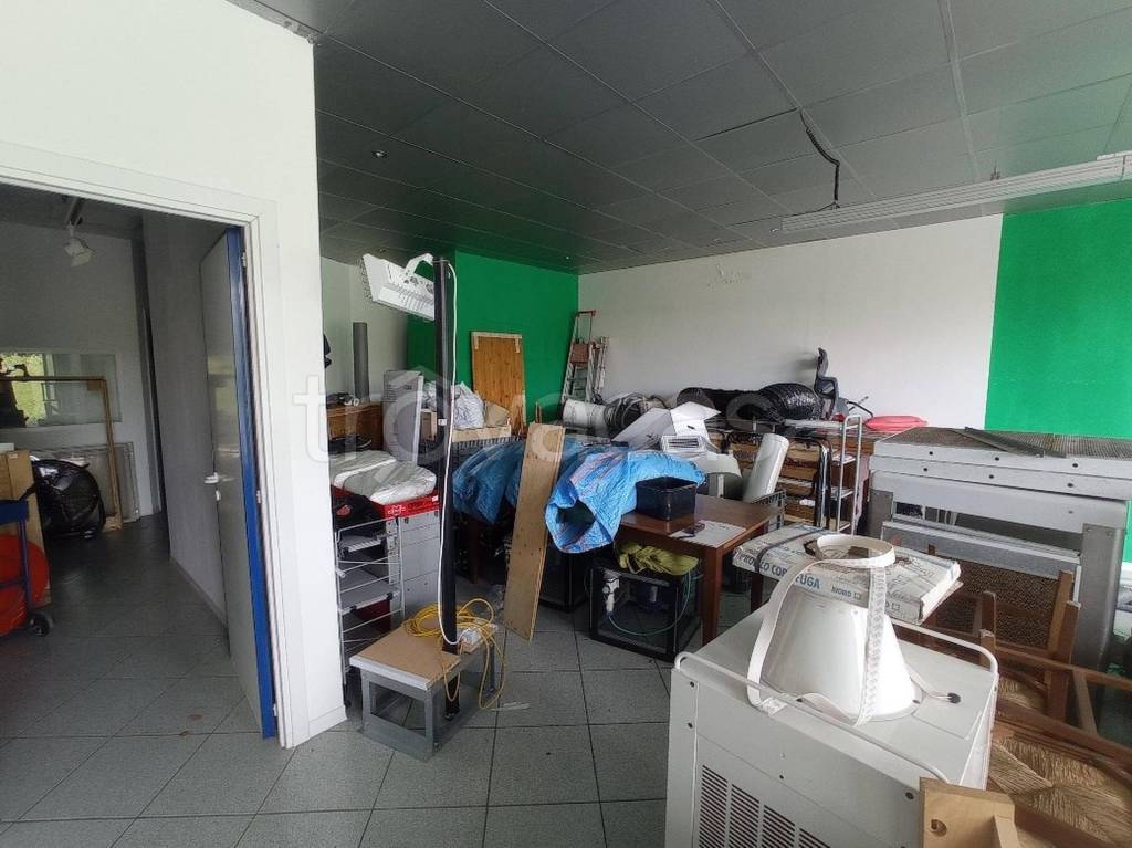 immagine annuncio 6 di 14