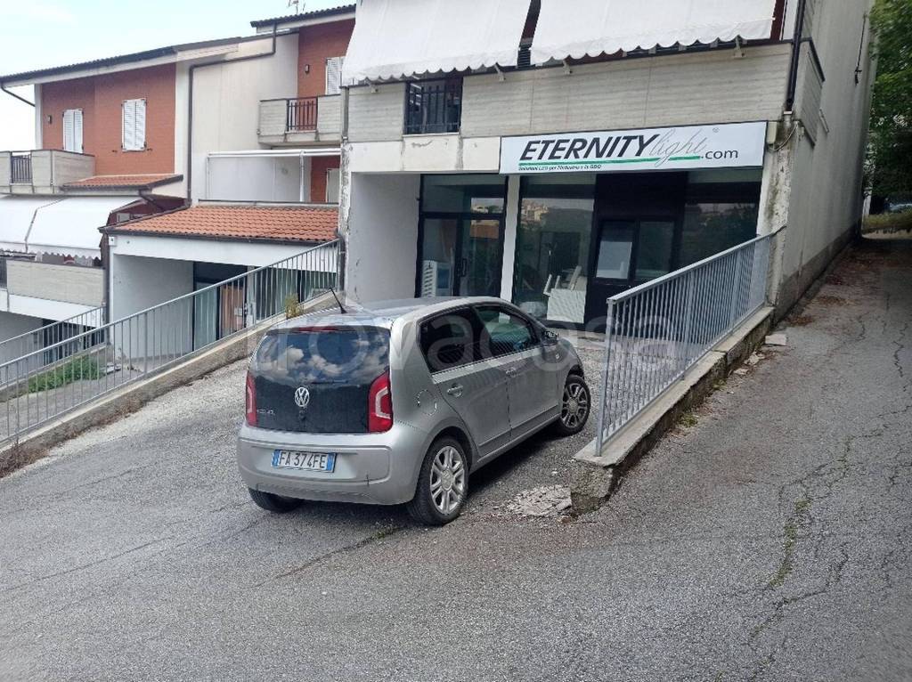 immagine annuncio 3 di 14