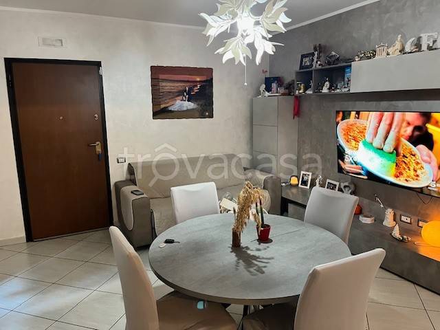 immagine annuncio 1 di 12