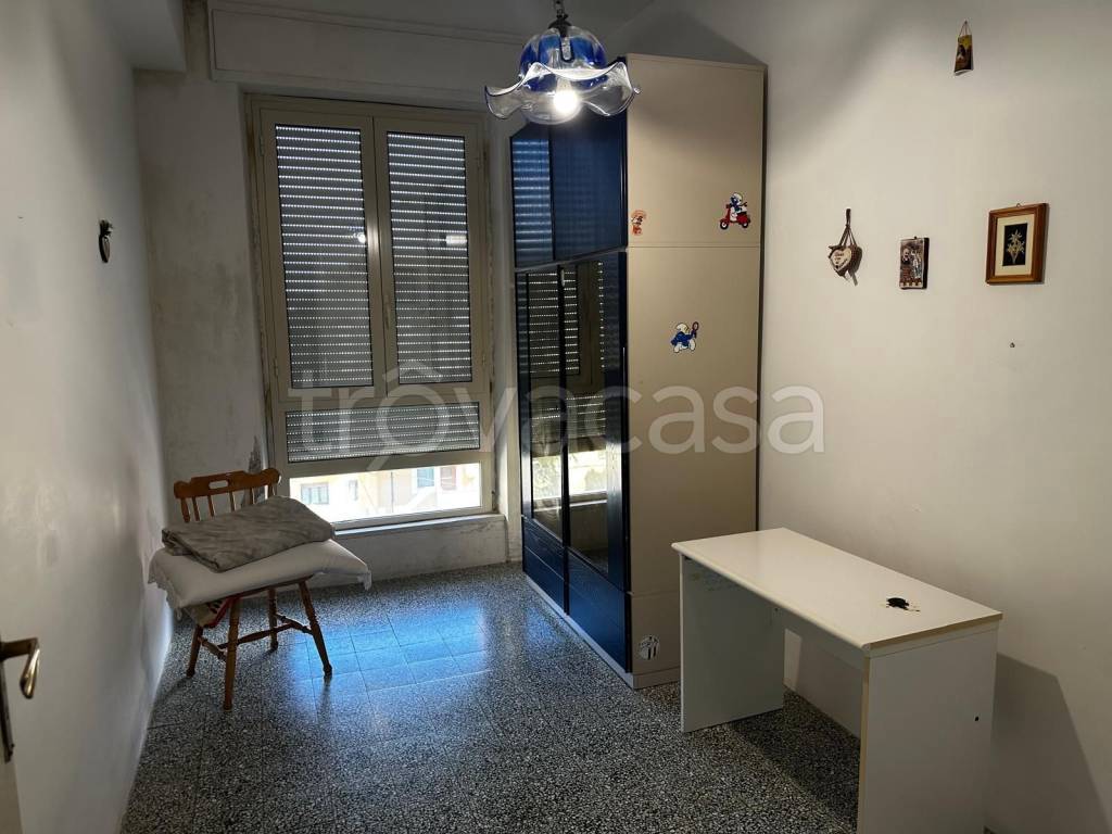 immagine annuncio 6 di 14