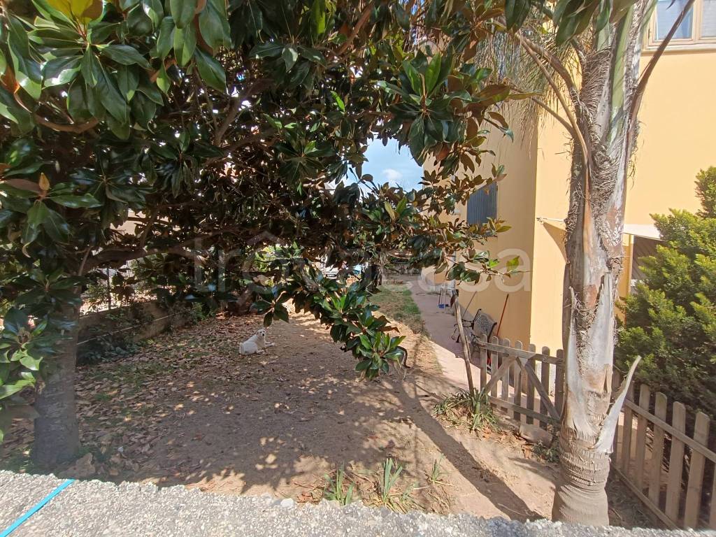 immagine annuncio 6 di 14