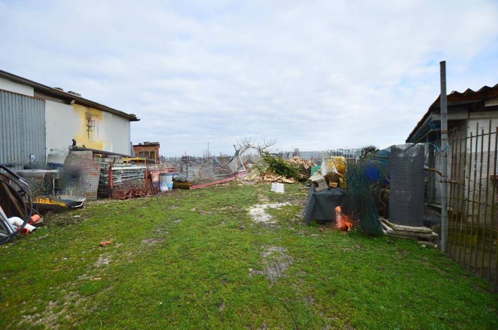 immagine annuncio 6 di 11