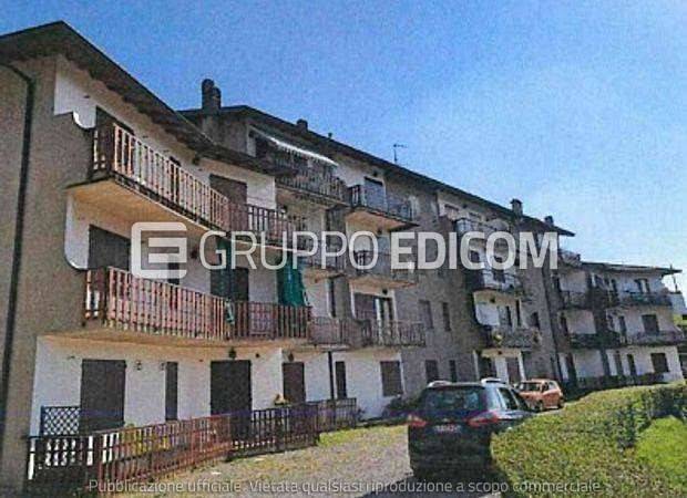 immagine annuncio 10 di 14