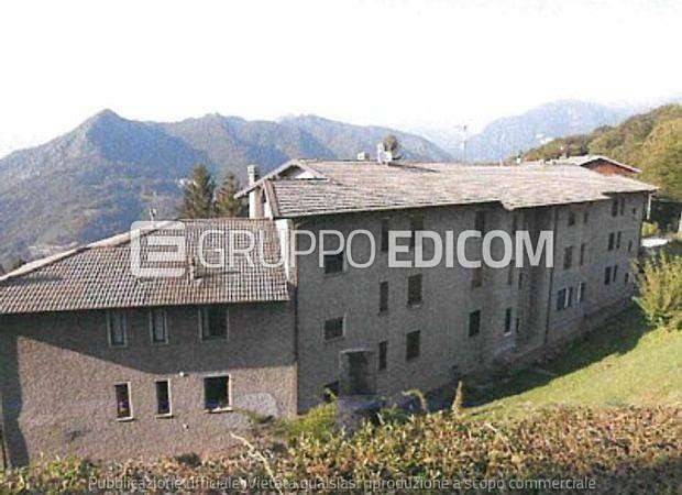 immagine annuncio 11 di 14