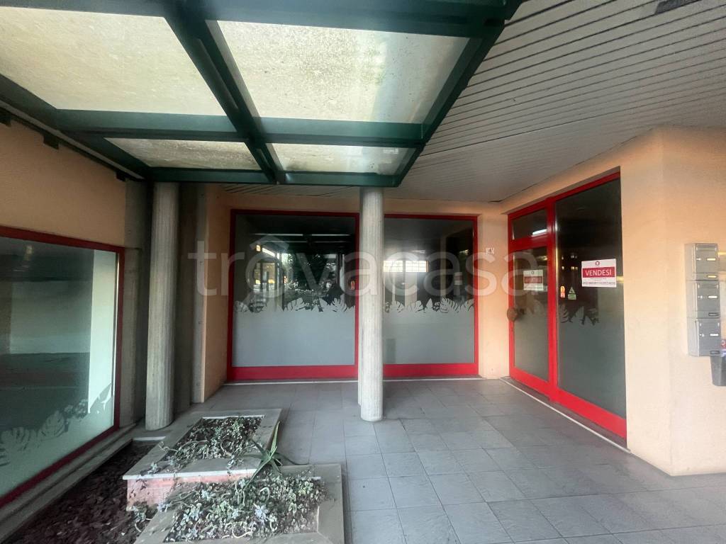 immagine annuncio 9 di 12