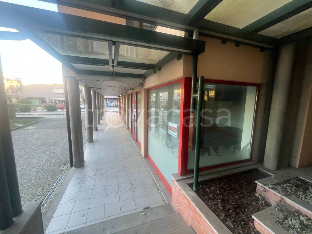 immagine annuncio 10 di 12