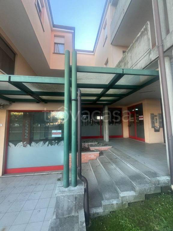 immagine annuncio 7 di 12