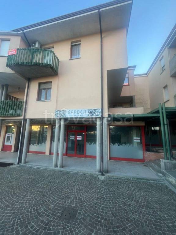 immagine annuncio 6 di 12