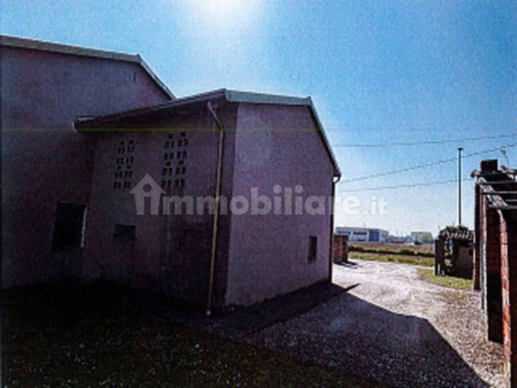 immagine annuncio 4 di 11