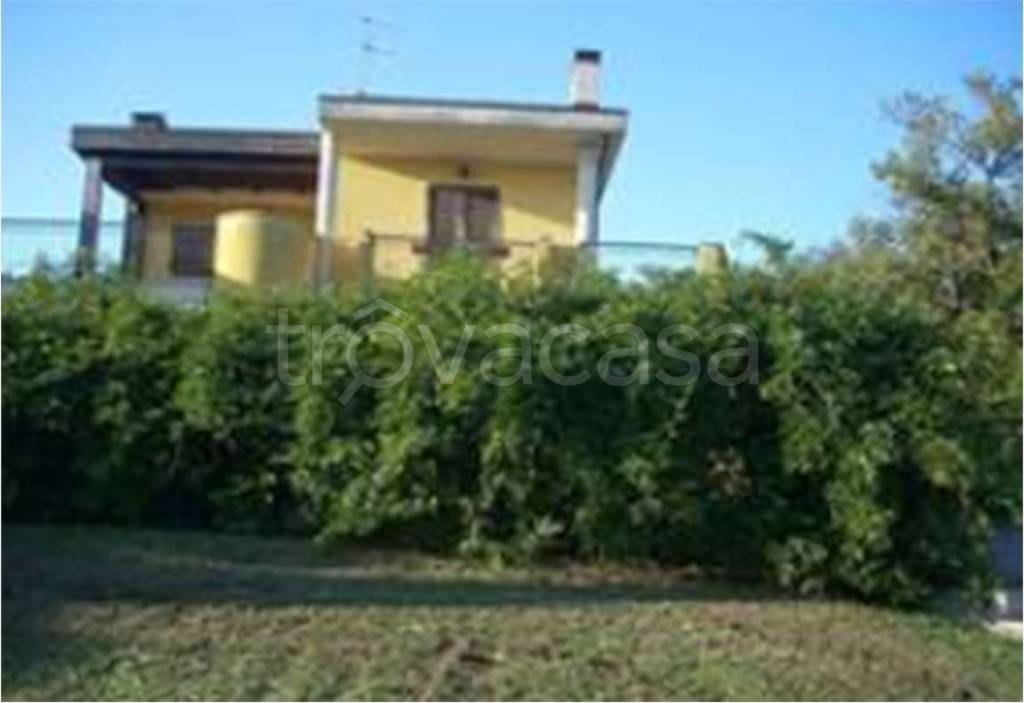 immagine annuncio 1 di 8