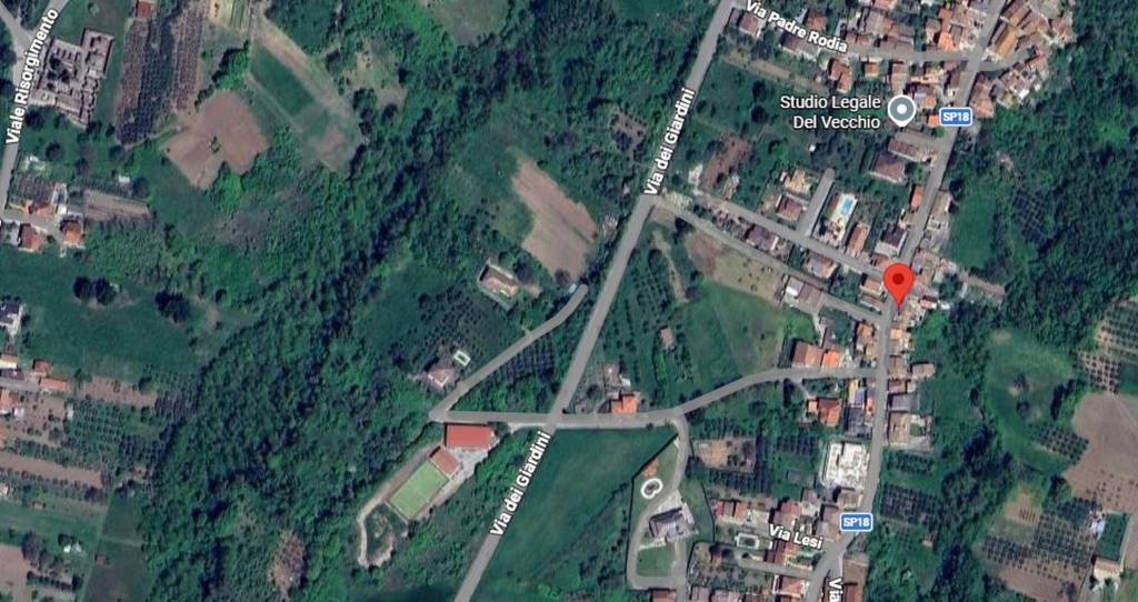 immagine annuncio 2 di 11