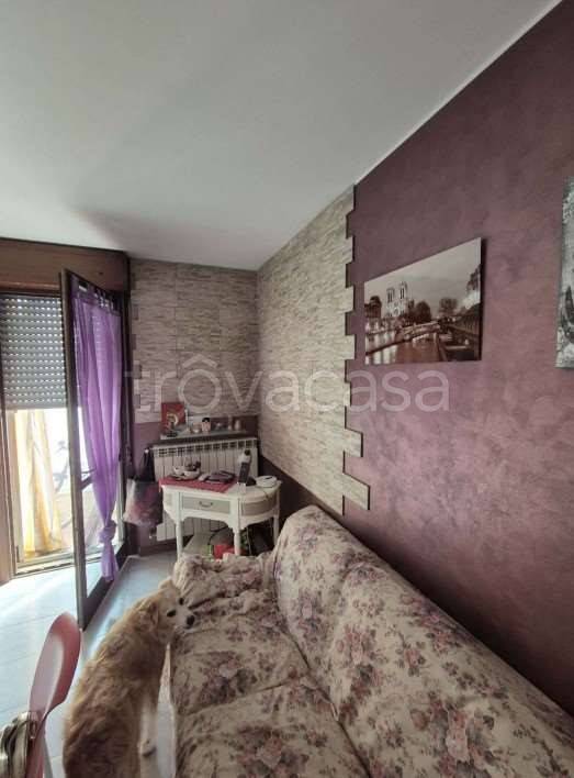 immagine annuncio 5 di 9