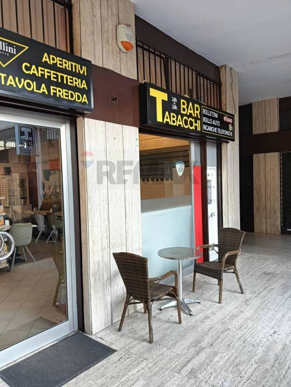 immagine annuncio 4 di 14