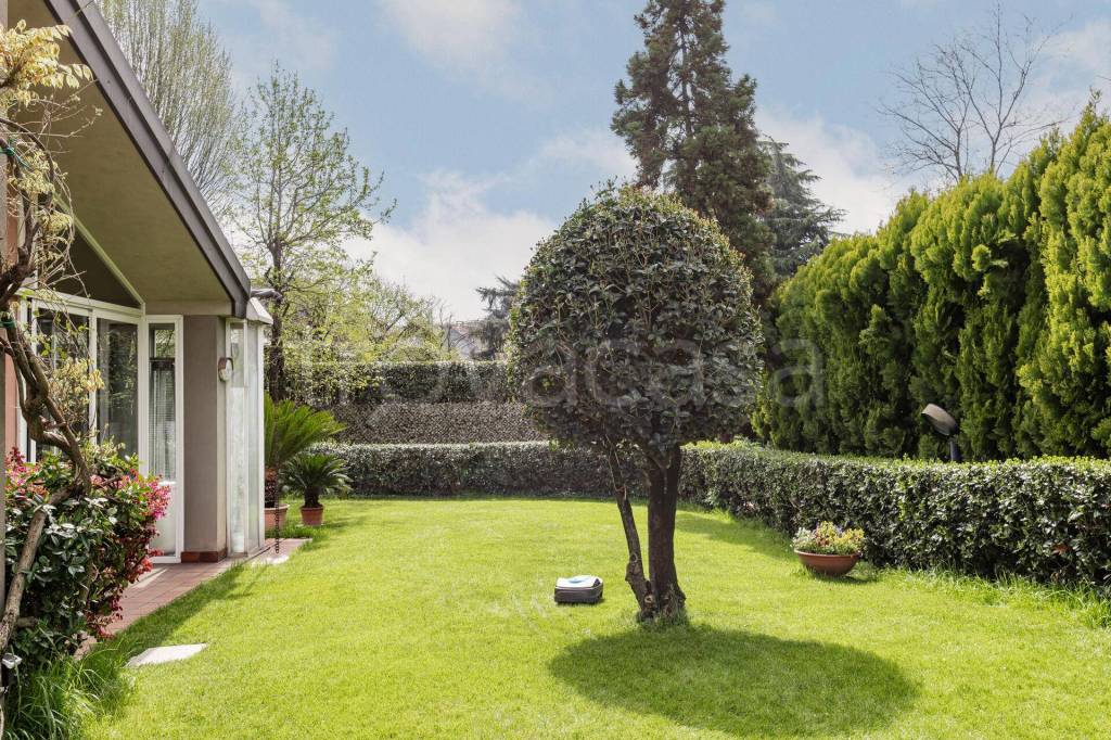 immagine annuncio 1 di 9