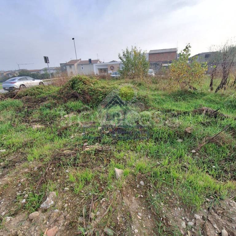 immagine annuncio 3 di 8