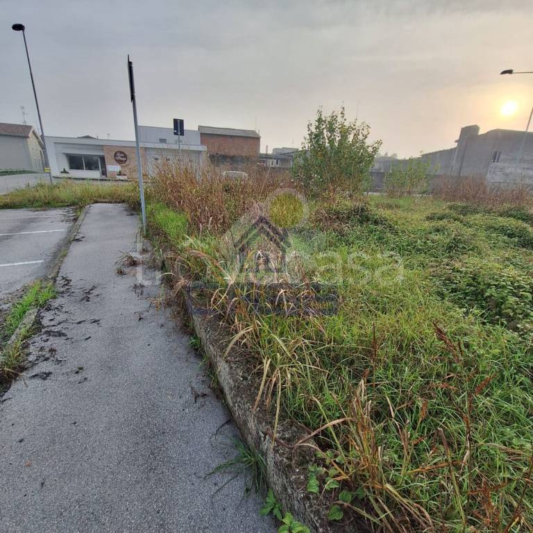 immagine annuncio 4 di 8