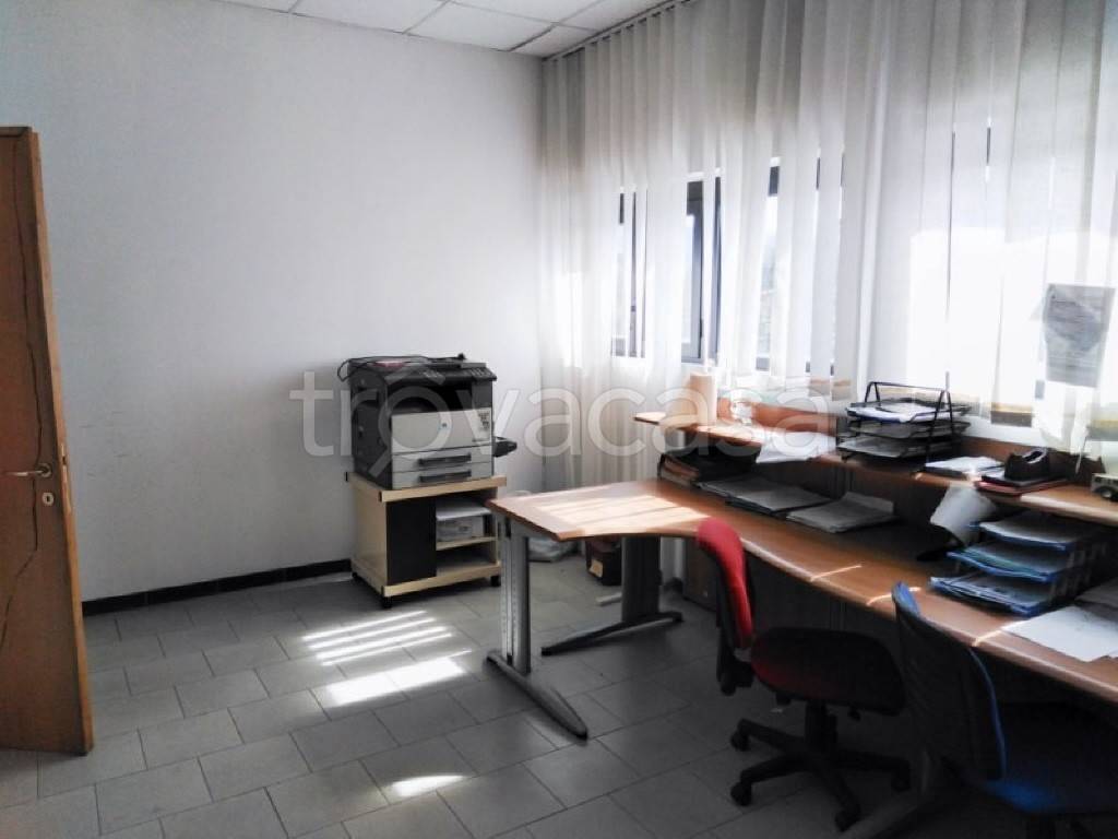 immagine annuncio 4 di 9