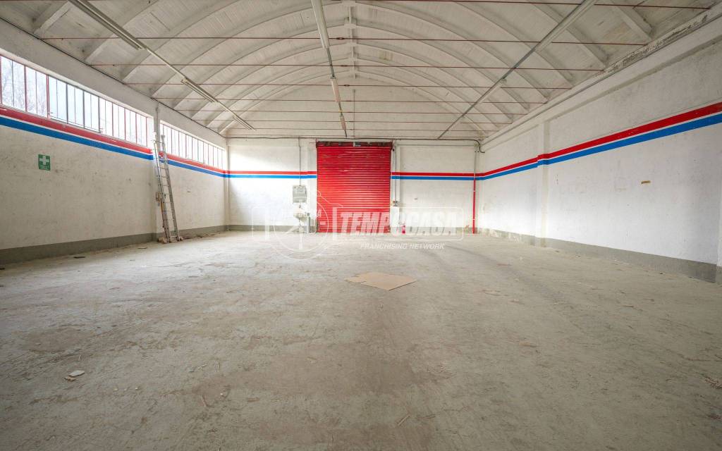 immagine annuncio 8 di 15