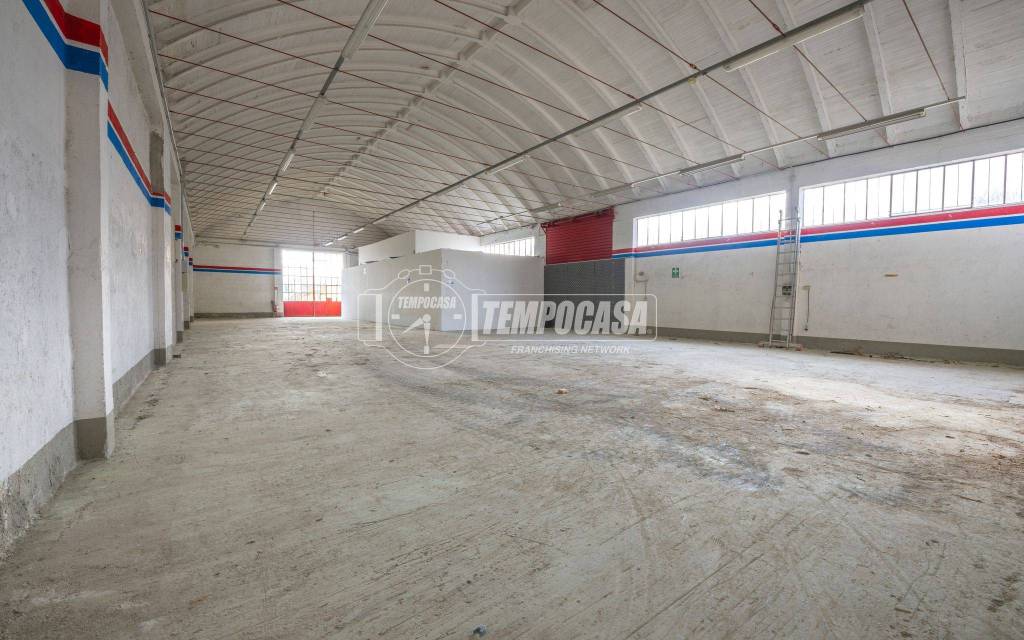 immagine annuncio 14 di 15