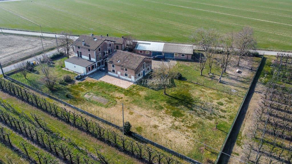 immagine annuncio 2 di 14