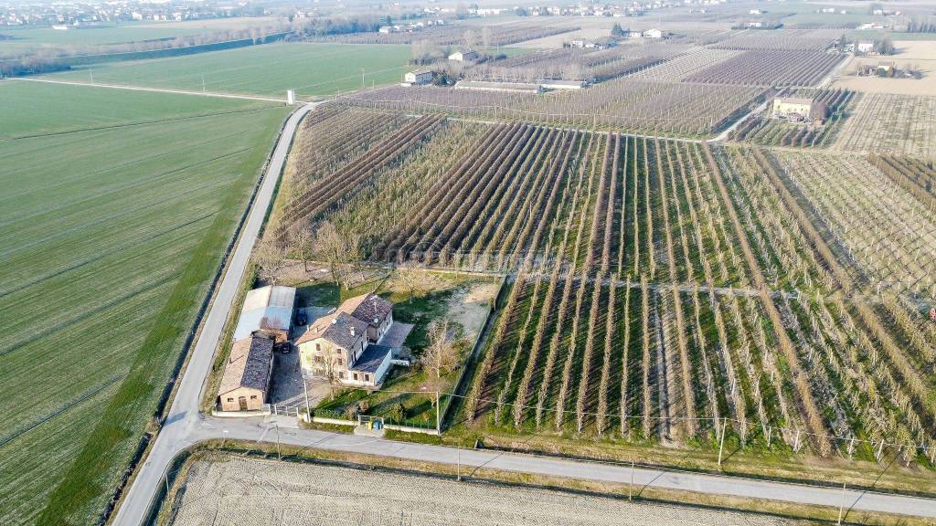 immagine annuncio 8 di 14