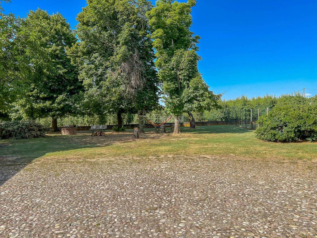 immagine annuncio 11 di 14