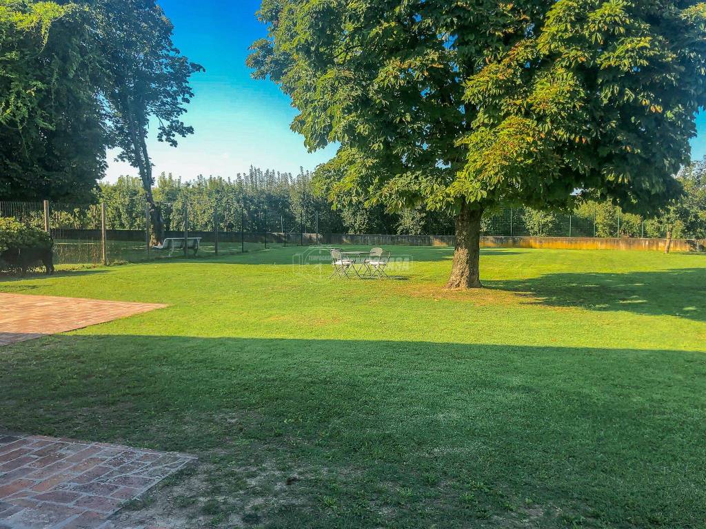 immagine annuncio 12 di 14