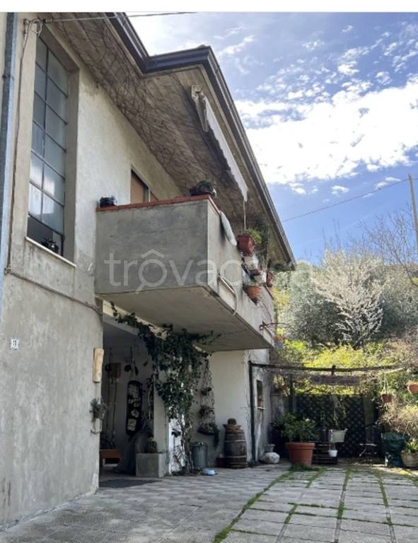 immagine annuncio 2 di 11