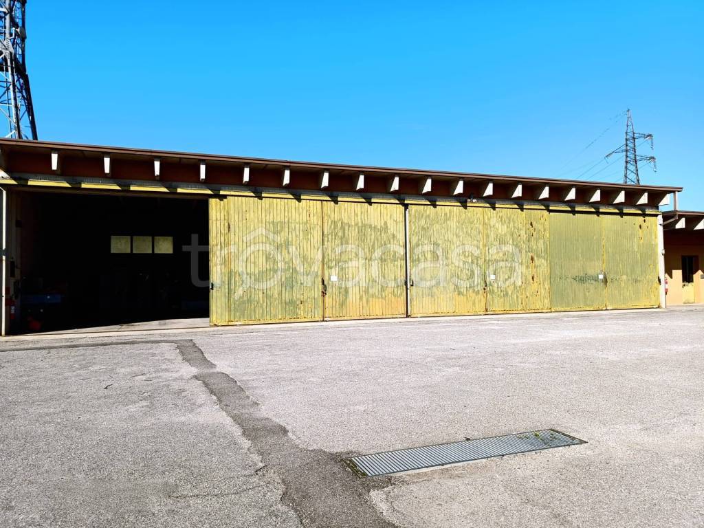 immagine annuncio 10 di 11