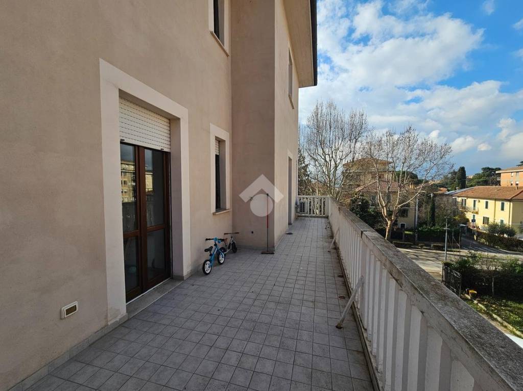 immagine annuncio 12 di 14