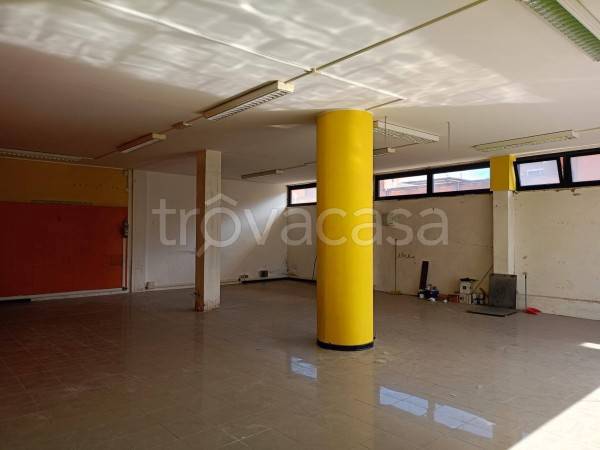 immagine annuncio 5 di 11