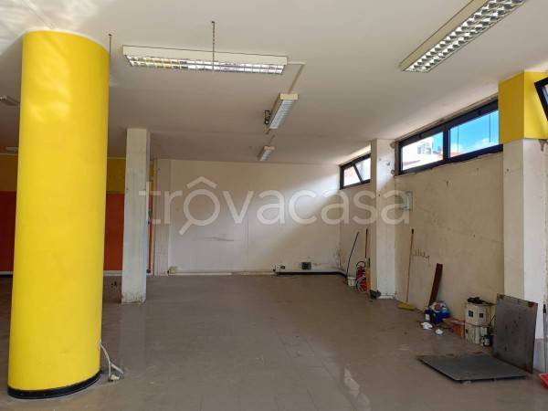 immagine annuncio 6 di 11