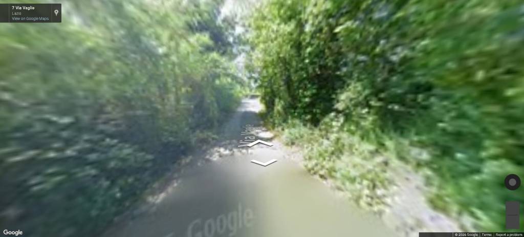 immagine annuncio 3 di 11