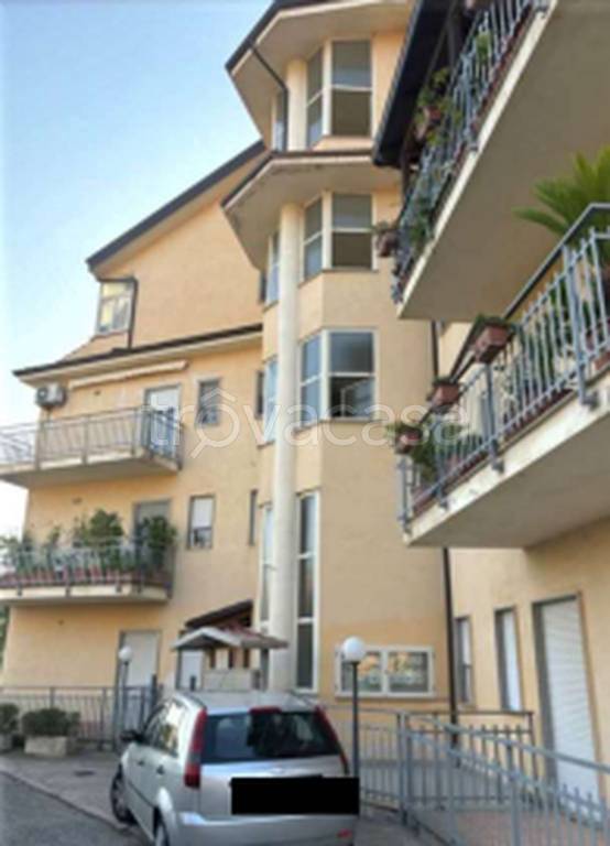 immagine annuncio 9 di 11