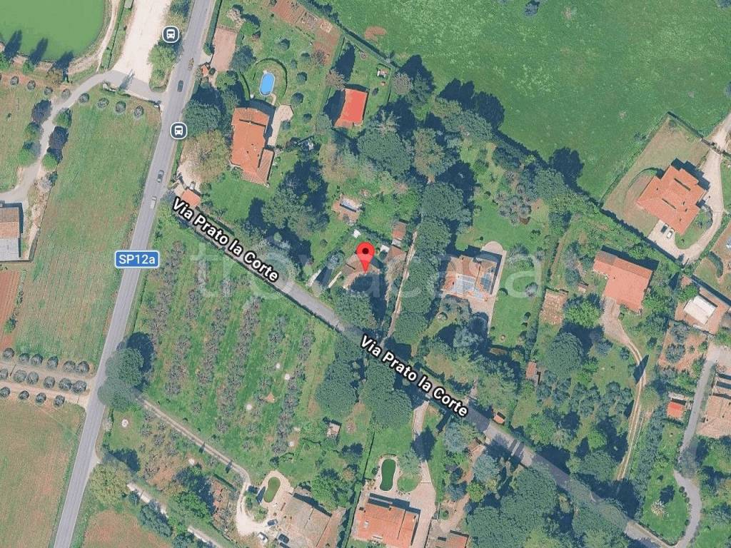 immagine annuncio 11 di 12