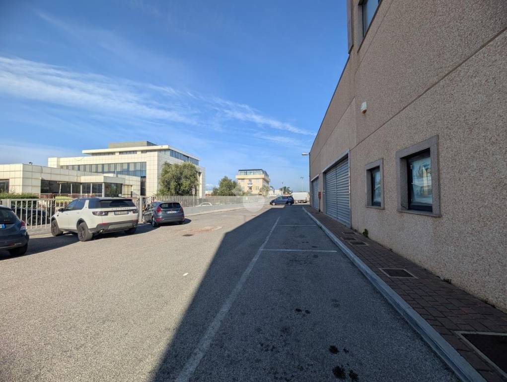 immagine annuncio 14 di 15