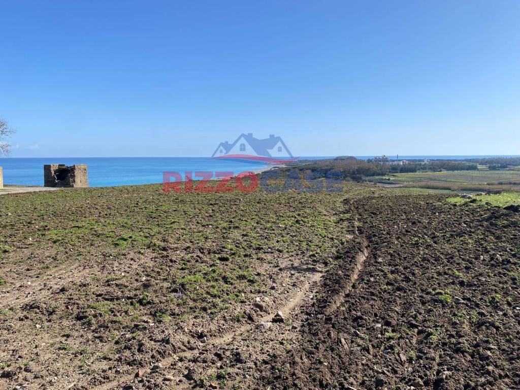 immagine annuncio 6 di 12