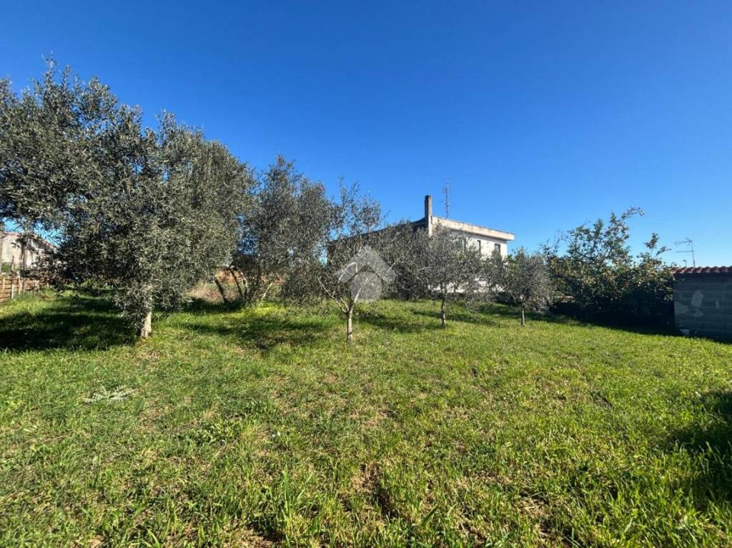 immagine annuncio 2 di 11