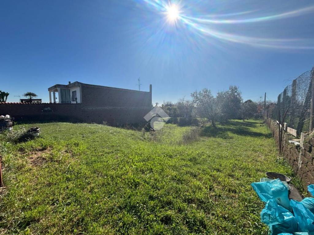 immagine annuncio 6 di 11