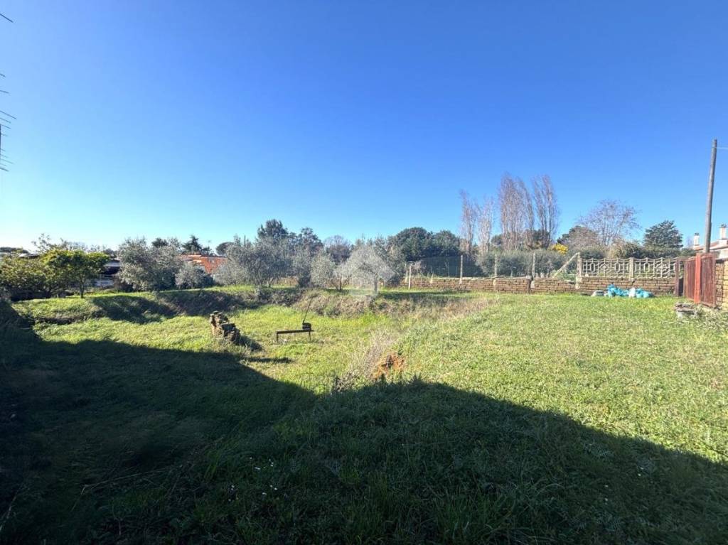 immagine annuncio 7 di 11