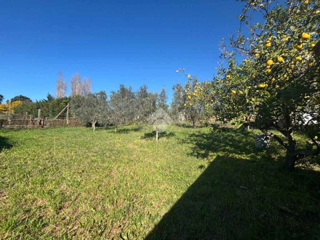 immagine annuncio 9 di 11