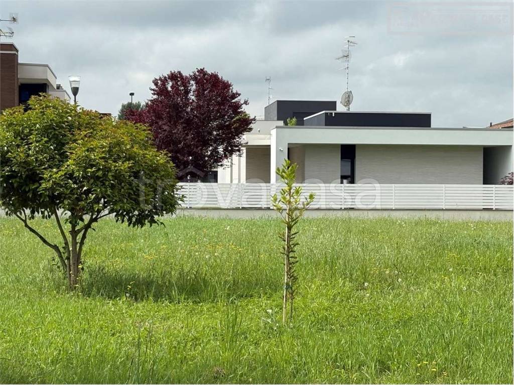 immagine annuncio 4 di 6