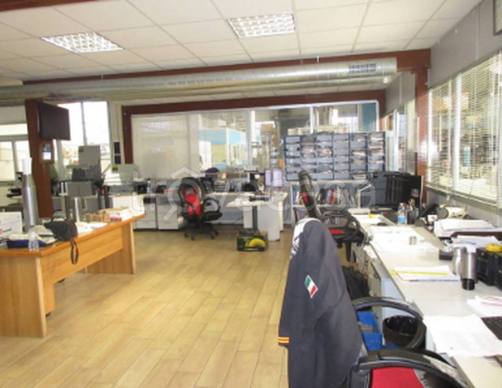 immagine annuncio 1 di 11