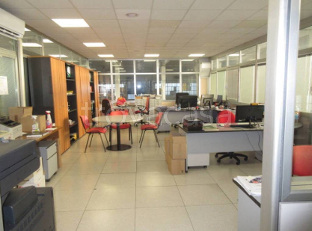 immagine annuncio 5 di 11