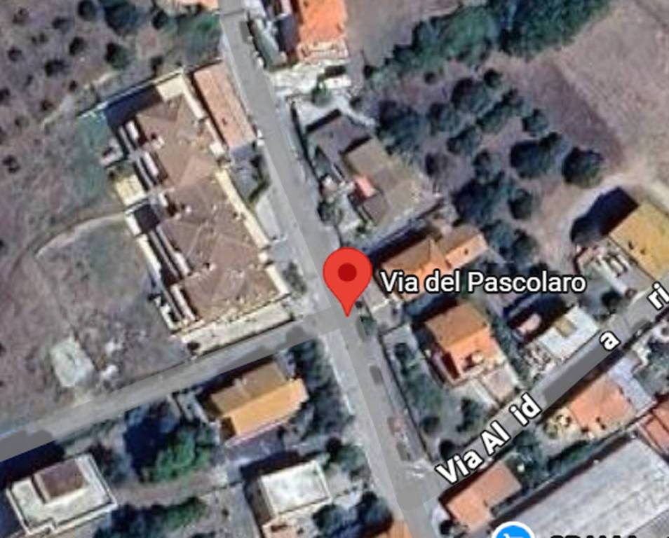 immagine annuncio 2 di 12