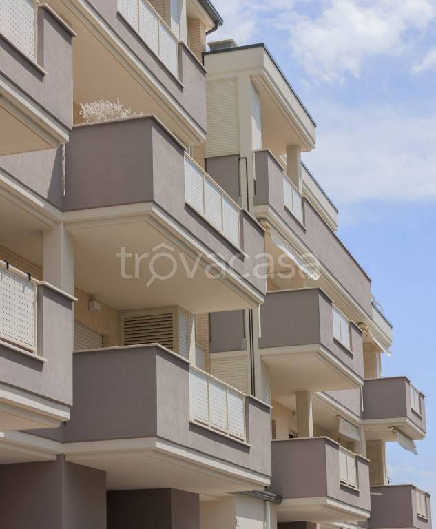 immagine annuncio 5 di 7