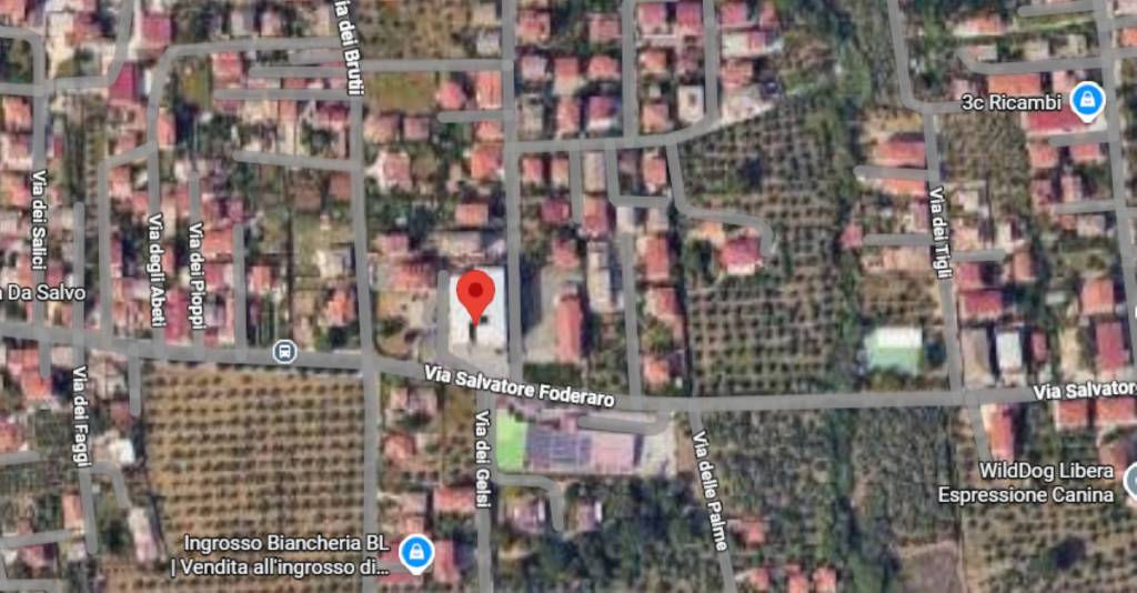 immagine annuncio 1 di 14