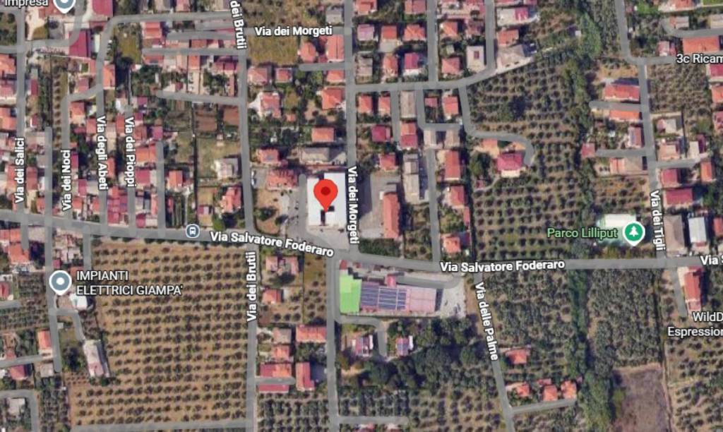 immagine annuncio 4 di 14