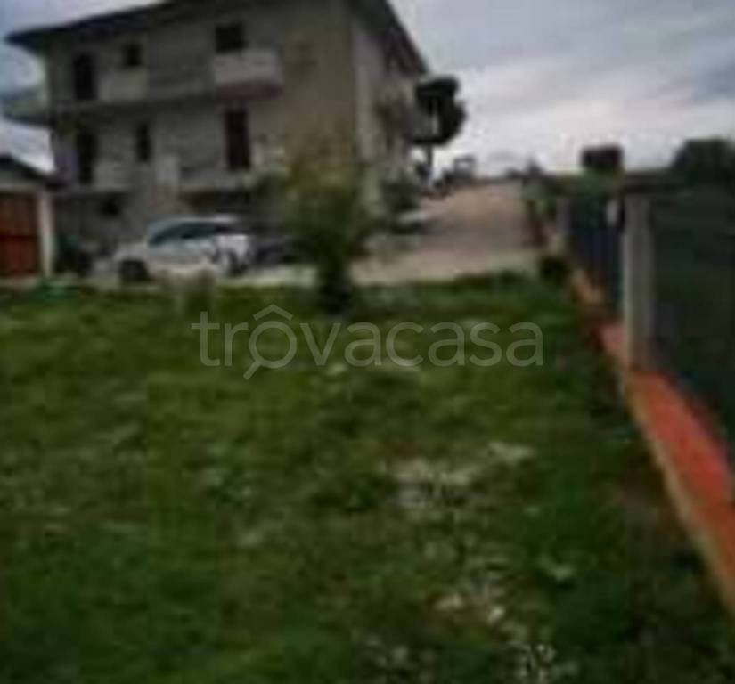 immagine annuncio 5 di 11