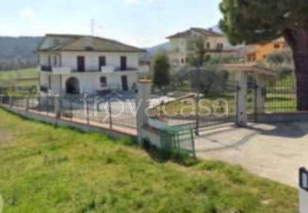 immagine annuncio 7 di 11